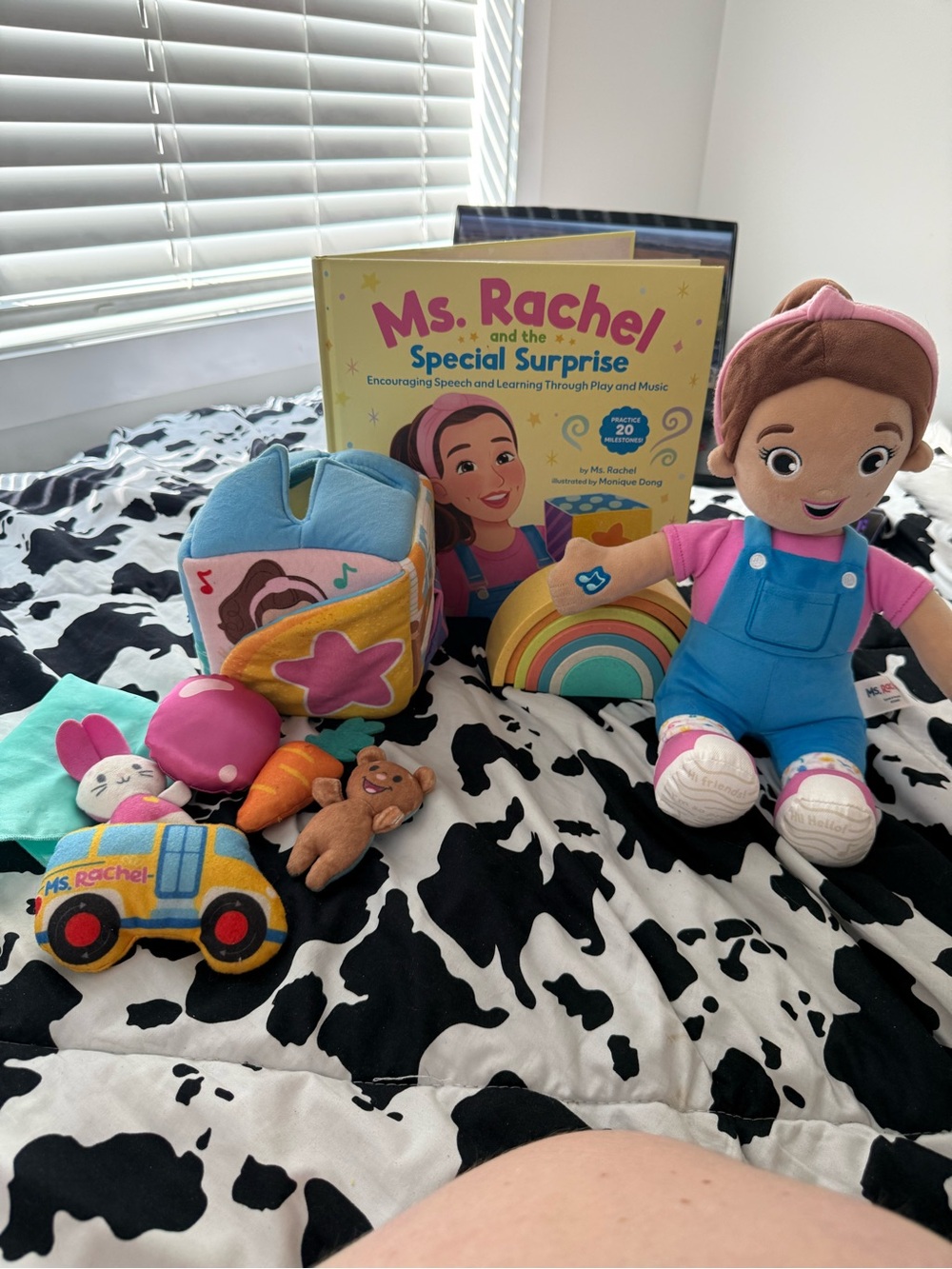 Rachel Plush Doll Set with Pink & Blue Outfit and Rainbow Toy